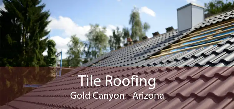 Tile Roofing Gold Canyon - Arizona