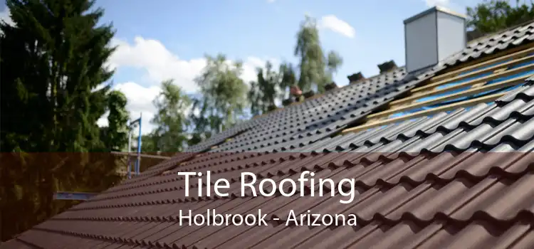 Tile Roofing Holbrook - Arizona
