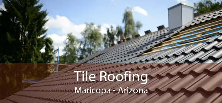 Tile Roofing Maricopa - Arizona