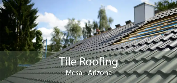 Tile Roofing Mesa - Arizona