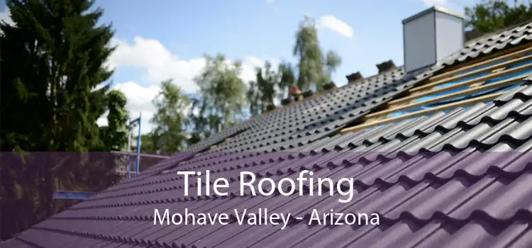 Tile Roofing Mohave Valley - Arizona