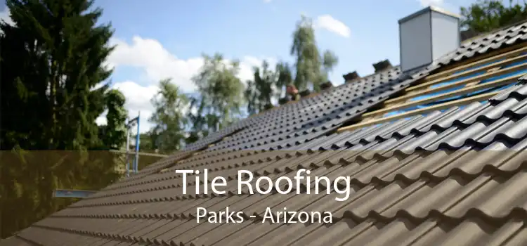 Tile Roofing Parks - Arizona