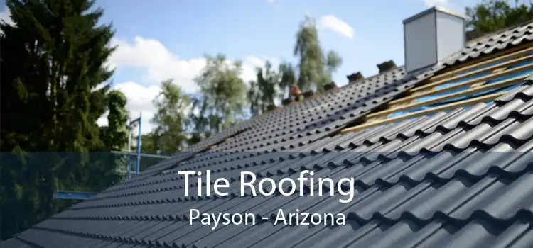 Tile Roofing Payson - Arizona
