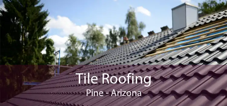 Tile Roofing Pine - Arizona