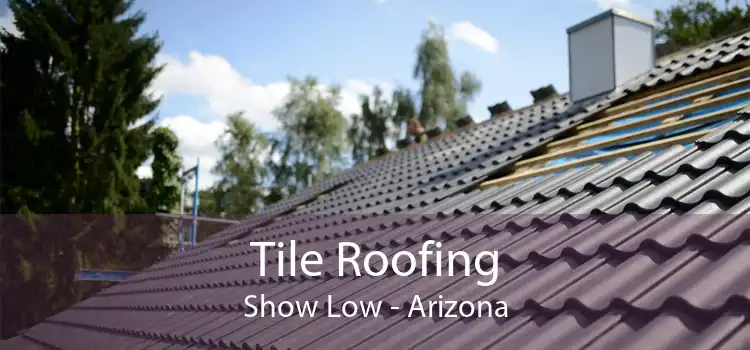 Tile Roofing Show Low - Arizona