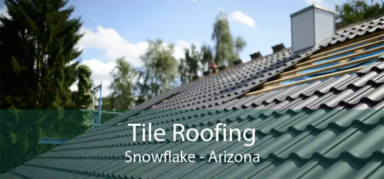 Tile Roofing Snowflake - Arizona