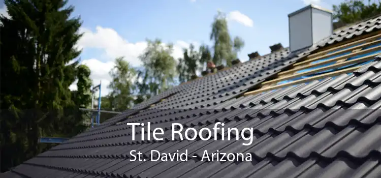 Tile Roofing St. David - Arizona