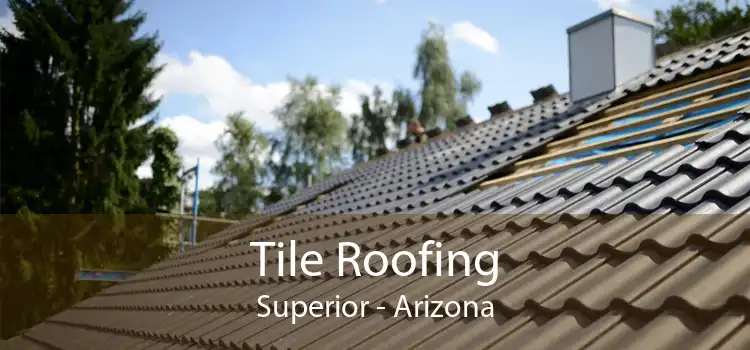 Tile Roofing Superior - Arizona