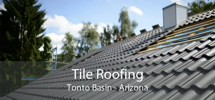 Tile Roofing Tonto Basin - Arizona
