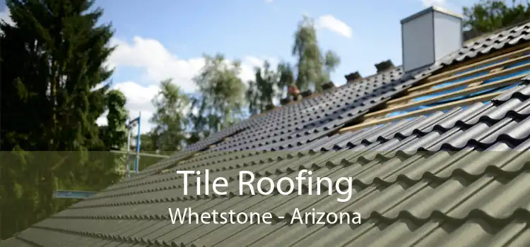 Tile Roofing Whetstone - Arizona