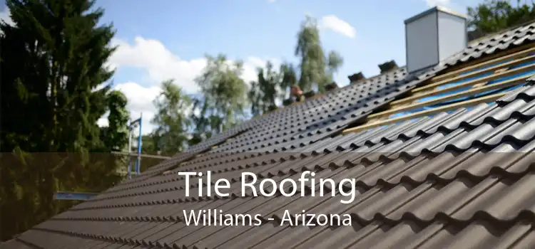Tile Roofing Williams - Arizona