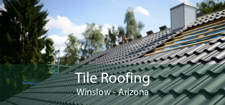 Tile Roofing Winslow - Arizona