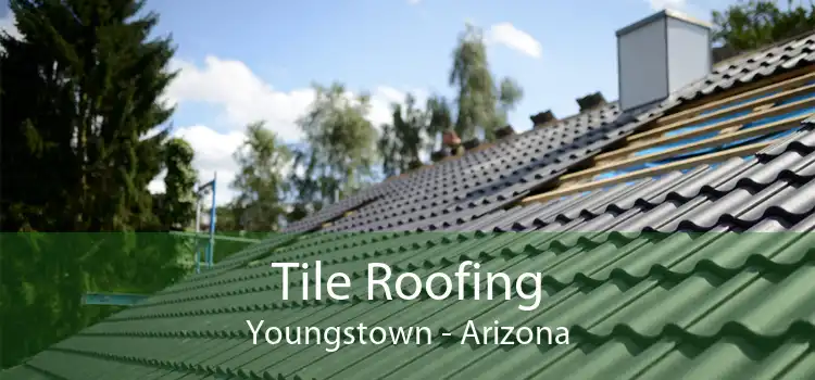 Tile Roofing Youngstown - Arizona