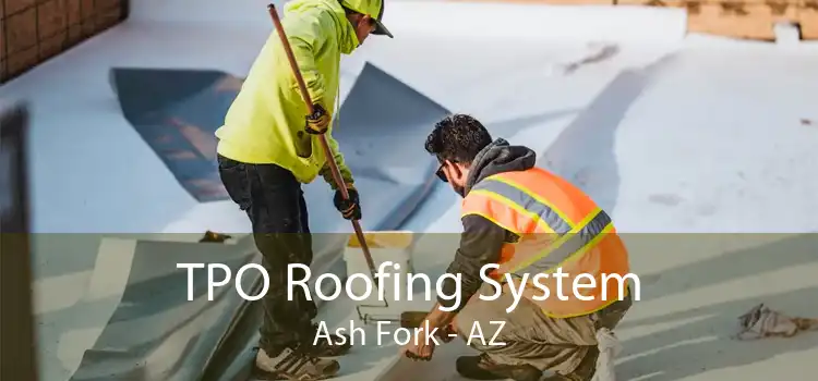 TPO Roofing System Ash Fork - AZ
