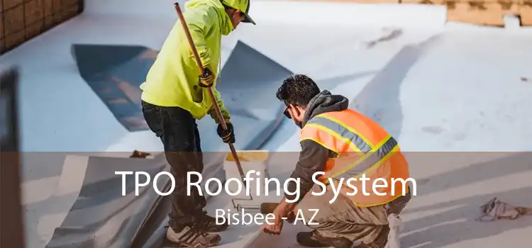 TPO Roofing System Bisbee - AZ