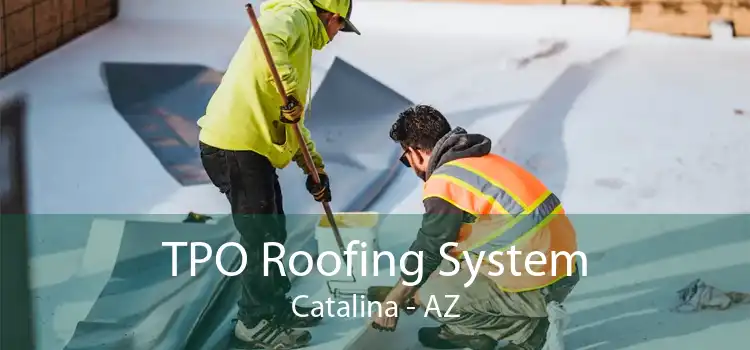 TPO Roofing System Catalina - AZ