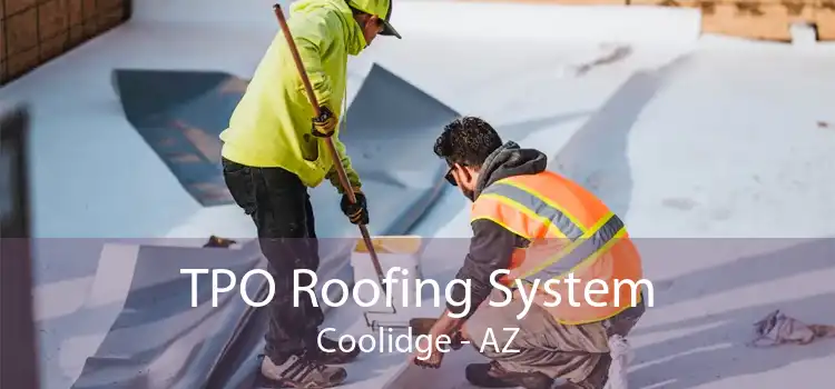 TPO Roofing System Coolidge - AZ
