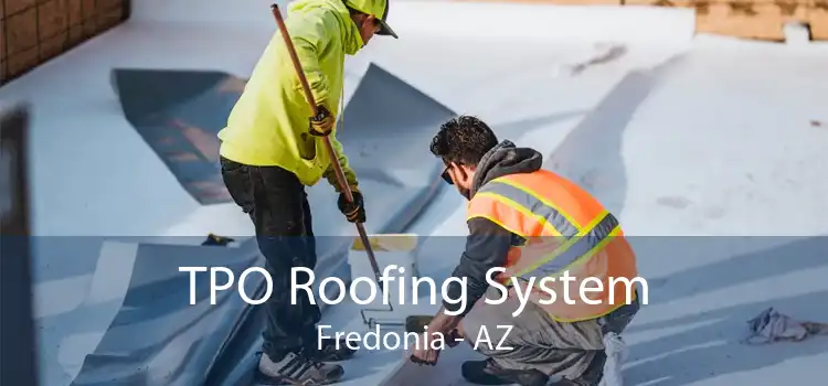 TPO Roofing System Fredonia - AZ