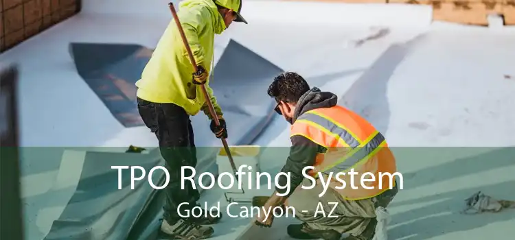 TPO Roofing System Gold Canyon - AZ