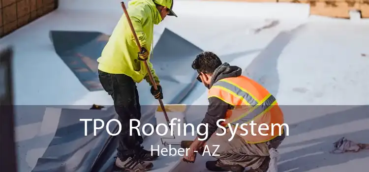 TPO Roofing System Heber - AZ