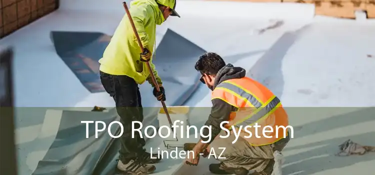 TPO Roofing System Linden - AZ