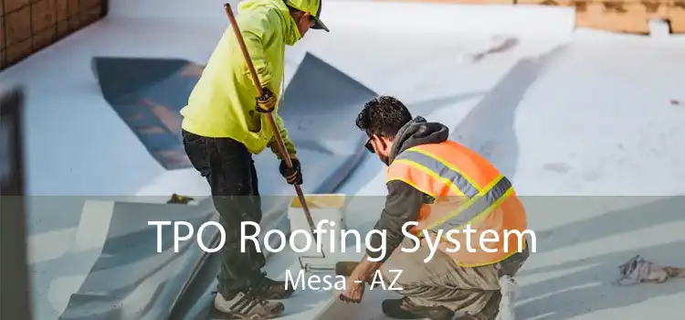 TPO Roofing System Mesa - AZ