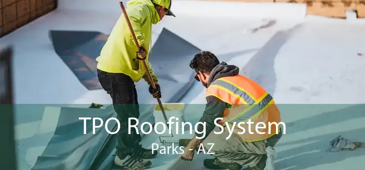 TPO Roofing System Parks - AZ