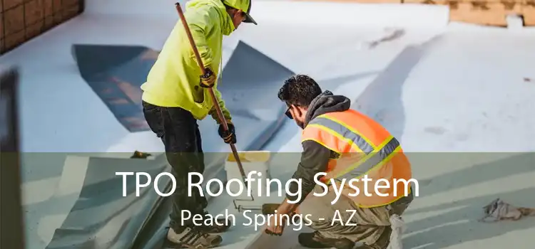 TPO Roofing System Peach Springs - AZ