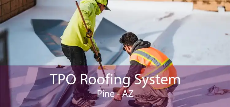 TPO Roofing System Pine - AZ