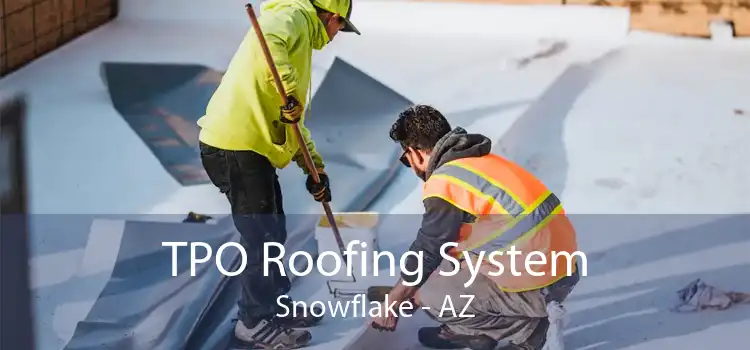 TPO Roofing System Snowflake - AZ