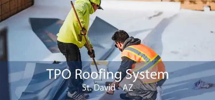 TPO Roofing System St. David - AZ