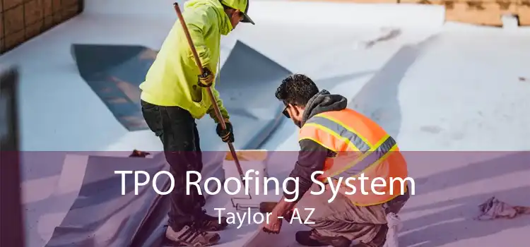 TPO Roofing System Taylor - AZ