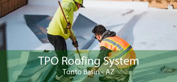 TPO Roofing System Tonto Basin - AZ