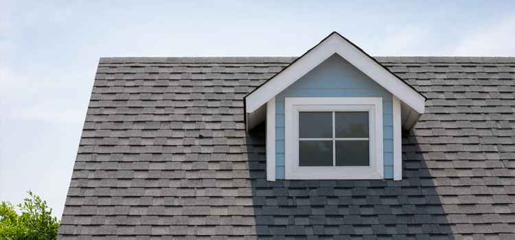 Asphalt Shingle Roofing Services in 