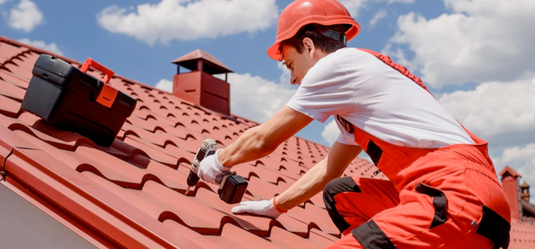 Shed Roof Repair in Arizona