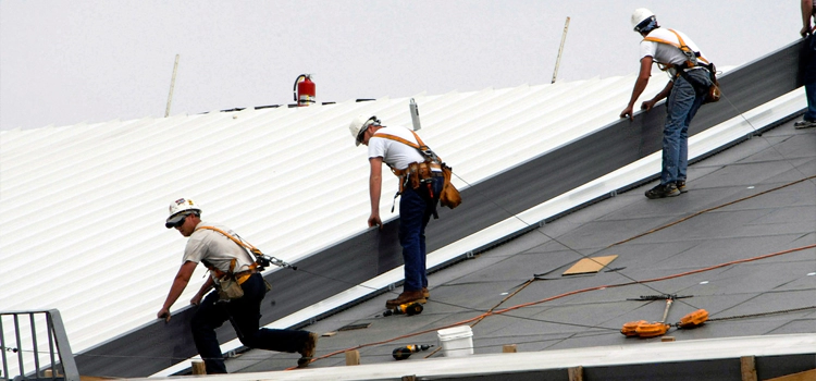 TPO Roofing Services in Flagstaff, AZ